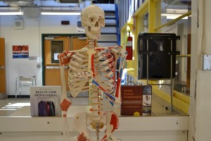 Health Care Academy helps students make healthy career choices