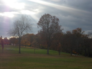 Fall is here! (Photos)