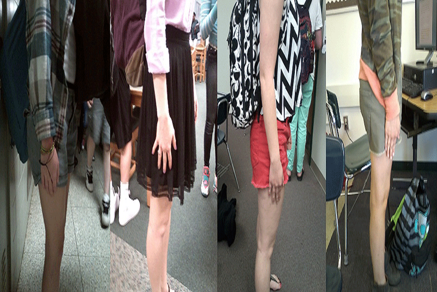 As demonstrated by Freshman Abygale Harlan, Sophomore Lydia Estes, Junoir Julia Kephart, and Senior Catherine Steffy, CHS requires finger-tip length on skirts, shorts, and dresses. But should this rule be more enforced than appropriate behavior?