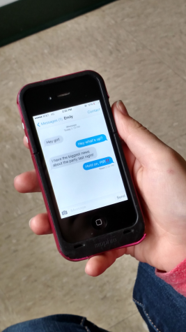 Recent news stories on the Internet have made it seem like teenagers have a whole secret text language to avoid adults' scrutiny.  But is this just another adult's take on teenagers?