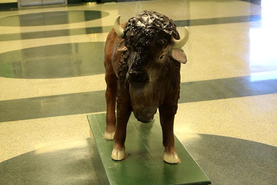 This statue of our school mascot, the bison, is displayed at the entrance of Fowler.