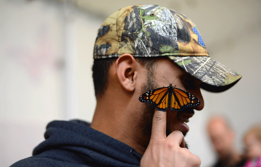 A butterfly lands on CHS senior Joshua Castros face. The butterfly tent at the Farm Show offers great fun and entertainment for only $2 a person. 