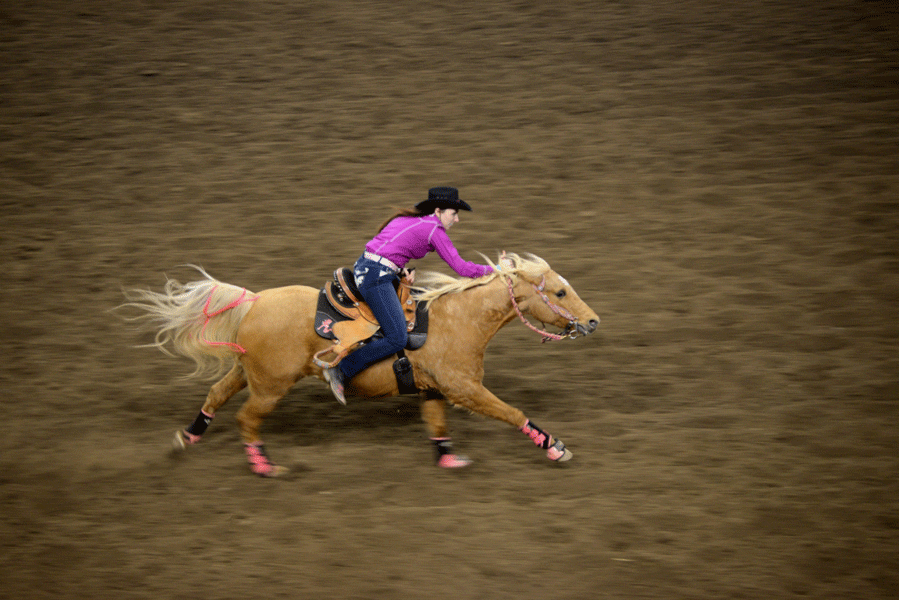 Young riders were without a doubt in the spotlight this year. Some were able to pull times of 15 seconds on barrel challenges. 