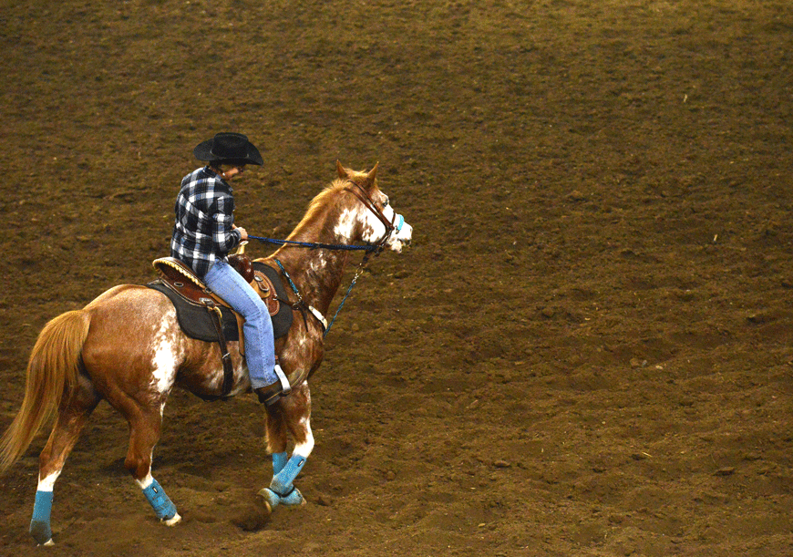 Riders faced multiple challenges, such as barrel and flag competitions. 
