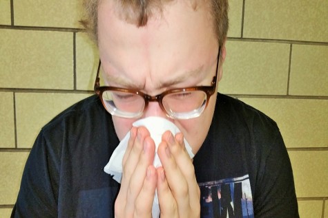 Achoo! Life with Allergies