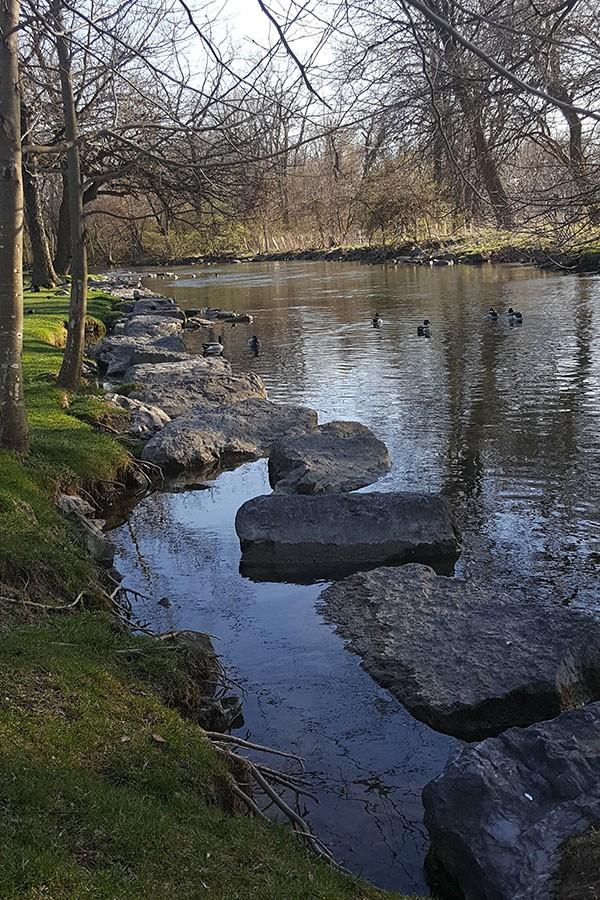 LeTort Park is situated calmly in an otherwise busy part of town. Baseball fields, an impressive sized playground, tennis courts, a fountain, pavilions and water full of ducks makes this park an ideal location for all ages. 