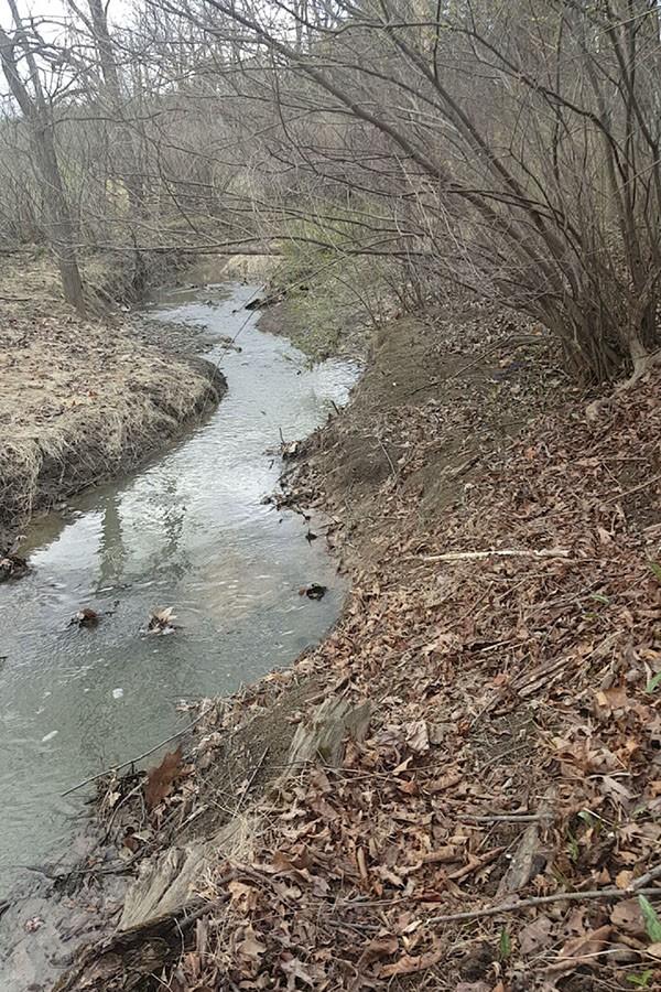 Despite the allure of several local parks, an experience with nature is never farther away than your nearby woods. Finding something new or beautiful certainly isn't confined to just these locations.