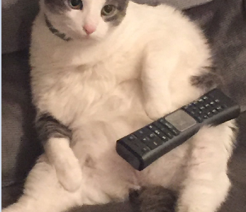 Kit Kat