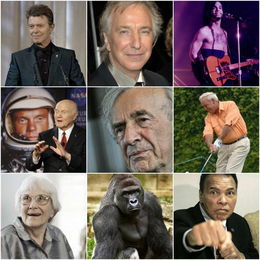 David Bowie, Alan Rickman, Prince, John Glenn, Elie Wiesel, Arnold Palmer, Harper Lee, Harambe and Muhammad Ali.