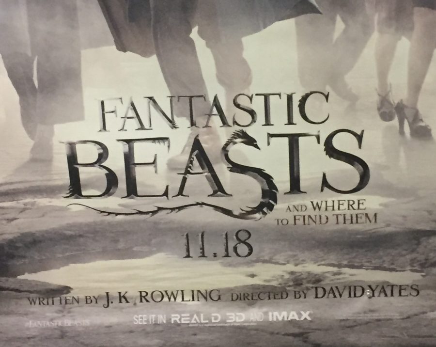 Fantastic Beasts And Where To Find Them poster 2016