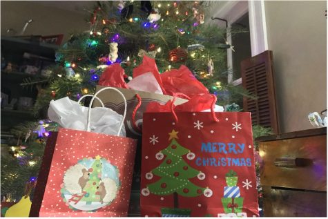 Despite challenges, Adopt-a-Family brings a smile to families