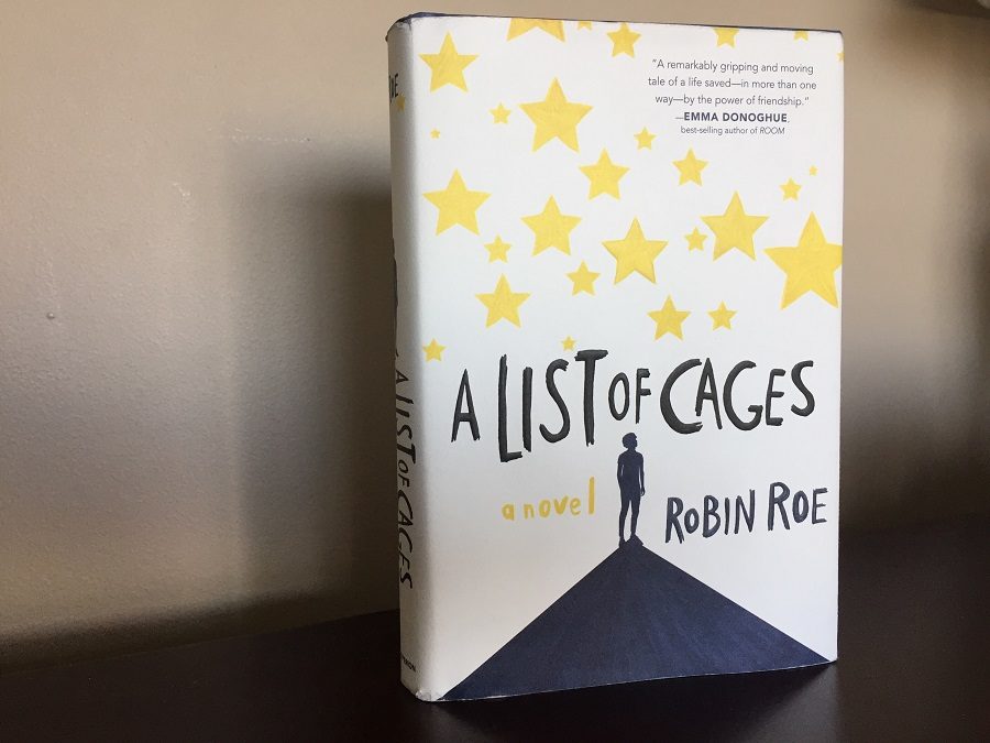 A List of Cages by Robin Roe is a beautiful and heart breaking story.