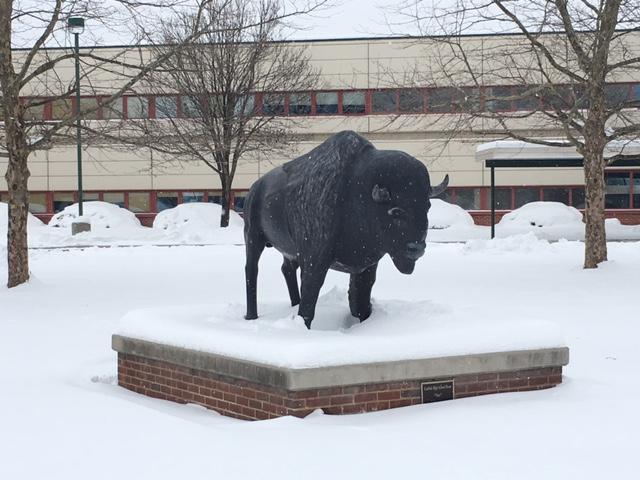 Thor a day after, surrounded by snow.