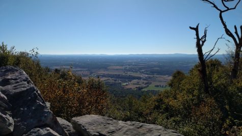Hawk Watch is a beautiful trail to hike in Carlisle. It leads you to a view of the valley.