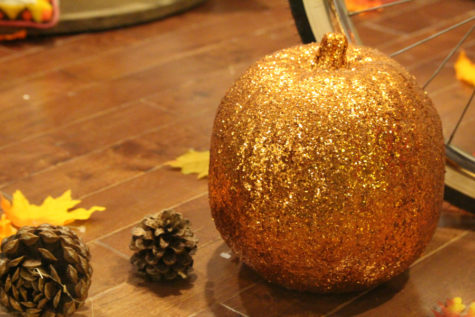 Turkeys and traditions: students discuss Thanksgiving favorites