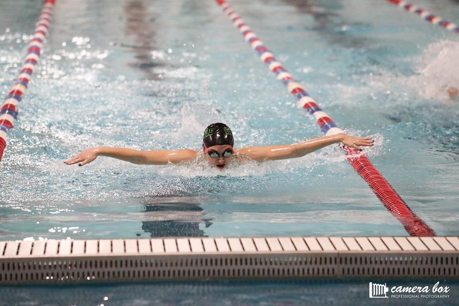 Sophomore Sierra Young swims butterfly in a meet during the 2016/17 season.  Young was a major impact competitor during her freshman season.