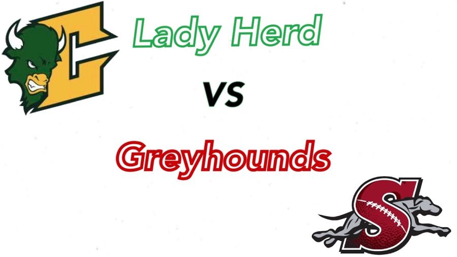 The+Shippensburg+Greyhounds+played+the+Lady+Herd+on+January+20.+