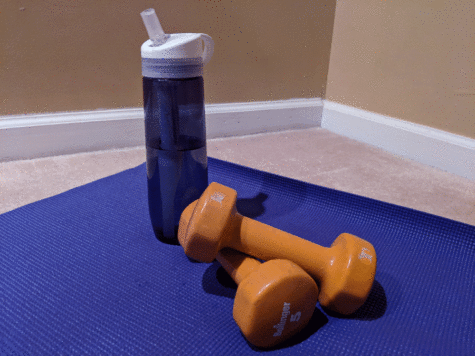 A weighty decision: Which gym is best?