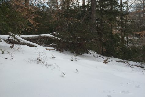 Snowy weather may be beautiful but it poses many threats to students on their way to school. How do schools decide when they do or do not cancel?