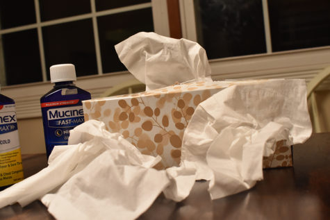 Colds in Carlisle: What’s going around and how to avoid it
