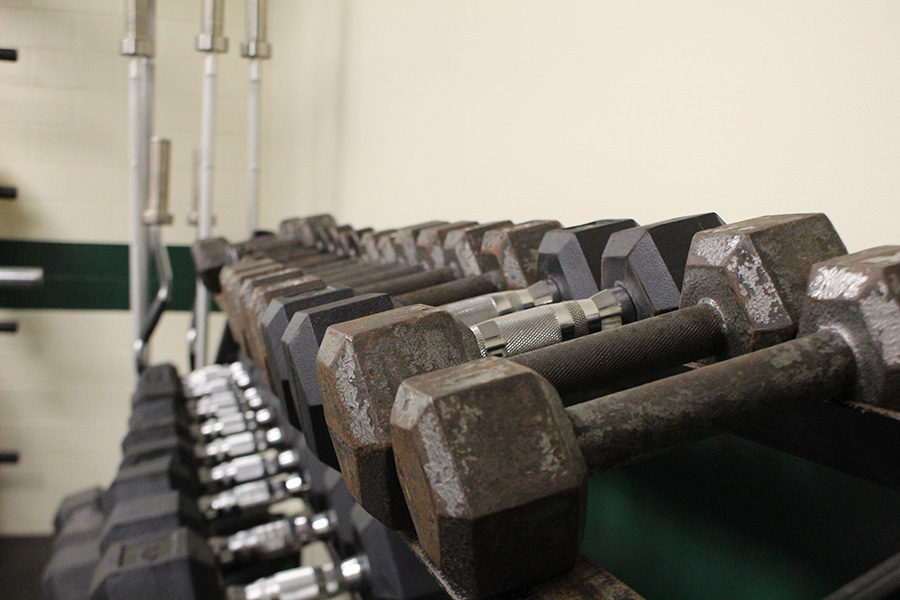 Weighing Down: Weights in the fitness room are lined up, ready to be used by the students of CHS. 