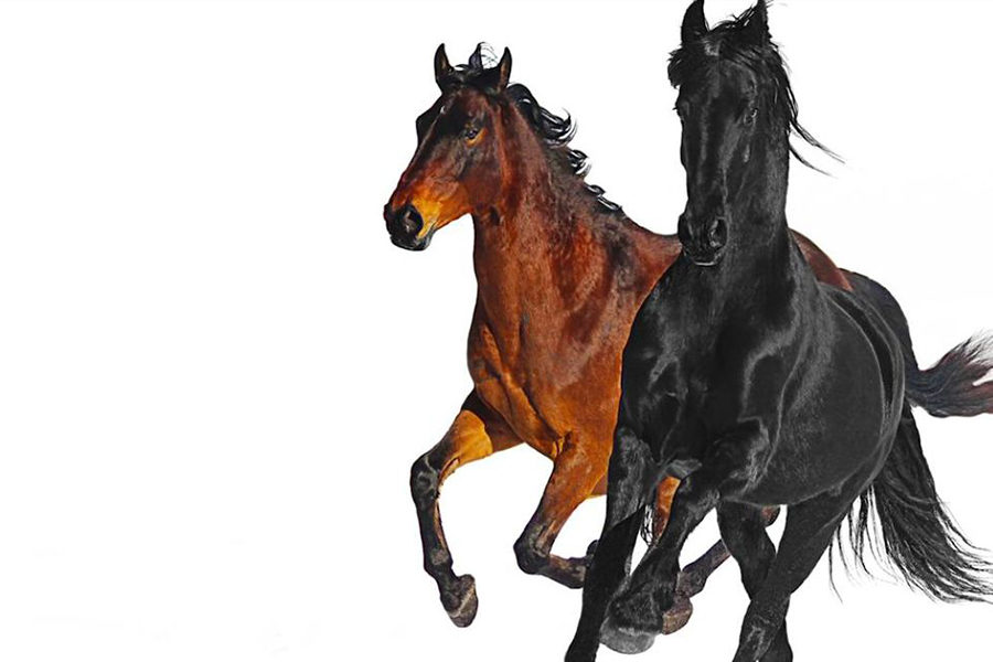 Old Town Road- Lil Nas X (feat. Billy Ray Cyrus)