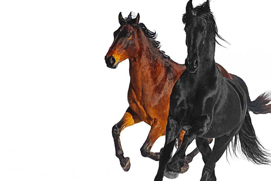 Old Town Road-Lil Nas X feat. Billy Ray Cyrus