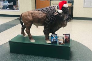 BISON BOOKS: As the National English Honor Societys book drive winds down, donations continue to trickle in. CHS students had the opportunity to show their holiday spirit by donating to one of the many drives happening around the school.