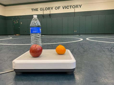 LIGHT LIFESTYLES: A normal meal for a wrestler cutting weight may look bare to a normal person. However, these athletes are getting all the proper nutrition they need while being in peak physical shape. A normal meal usually consists of fruit, and some type of protein with water to wash it down. 