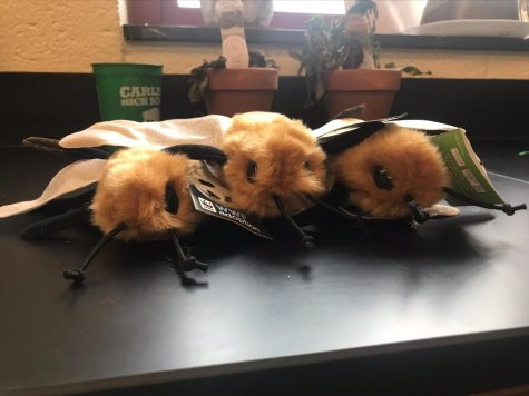 All the buzz: CHS adopts honeybees