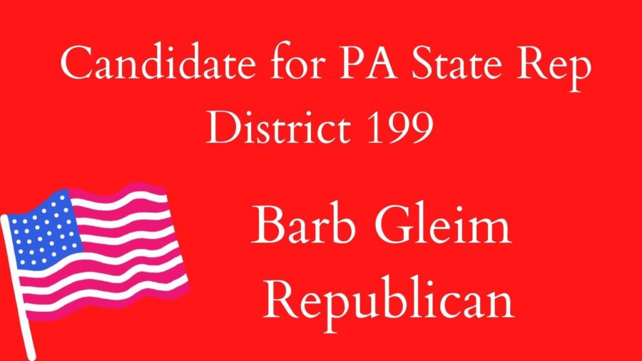 Barb Gleim- Republican