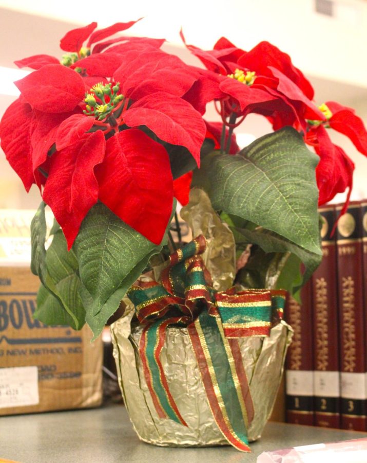 Holiday flowers at CHS Library