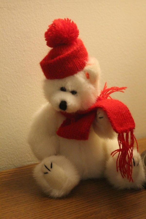 Polar Bear in the McGowen nurse's office!