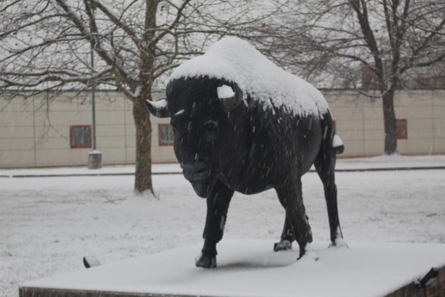 Thor withstanding the storm;  HERD STRONG