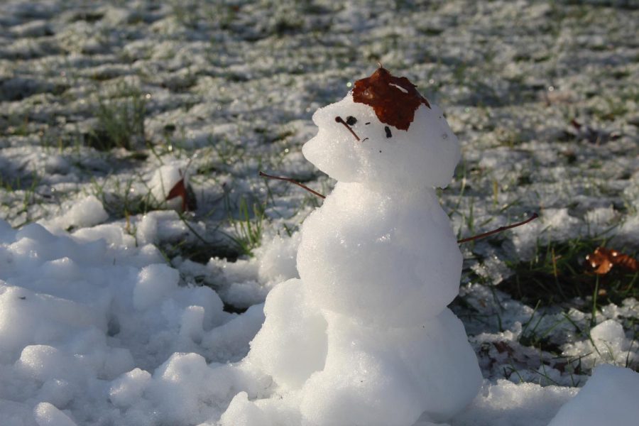 Simon the snow fellow!