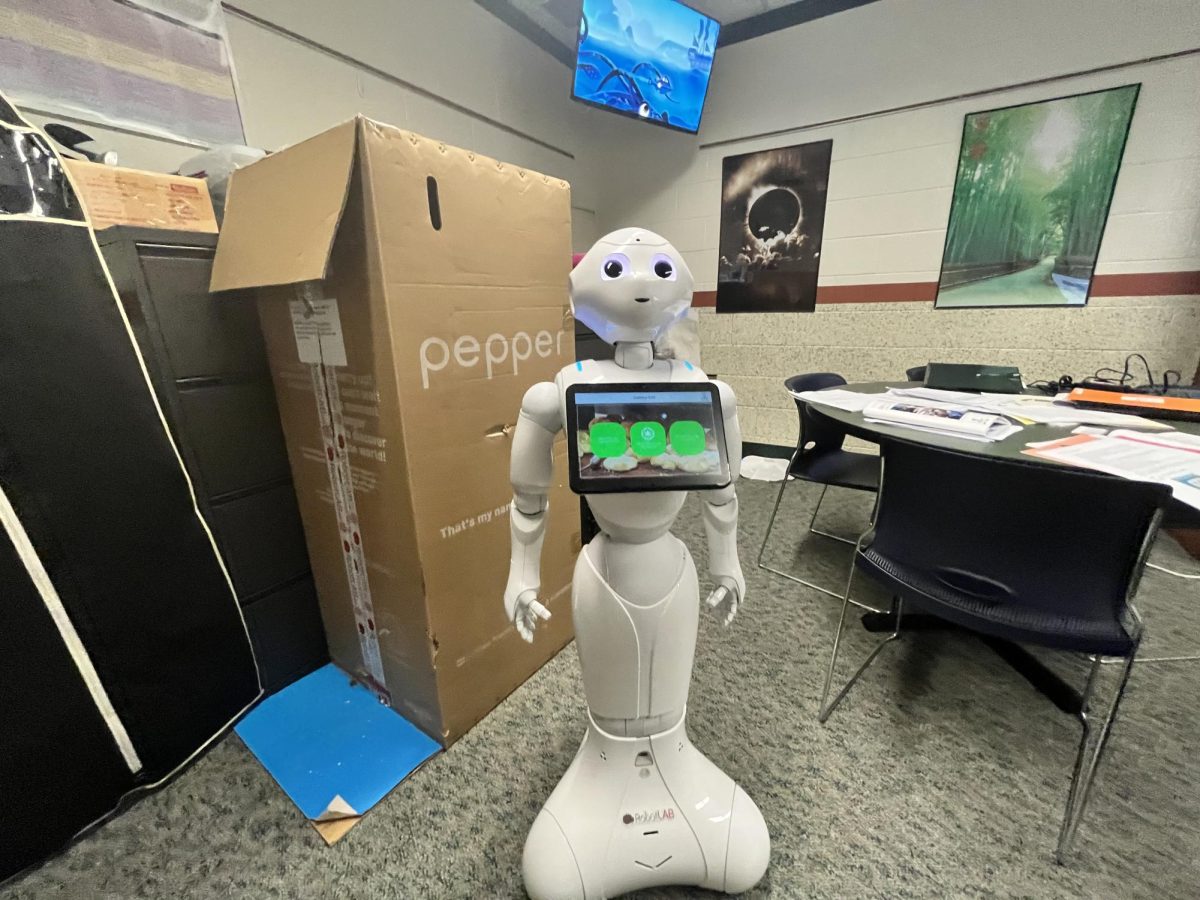 Pepper next to her box in Dr. Parillos office.