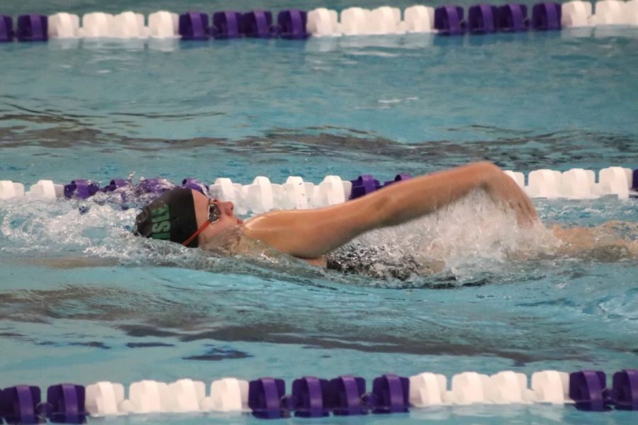 JUST KEEP SWIMMING: Coombs swims backstroke down the lane for a first place finish.