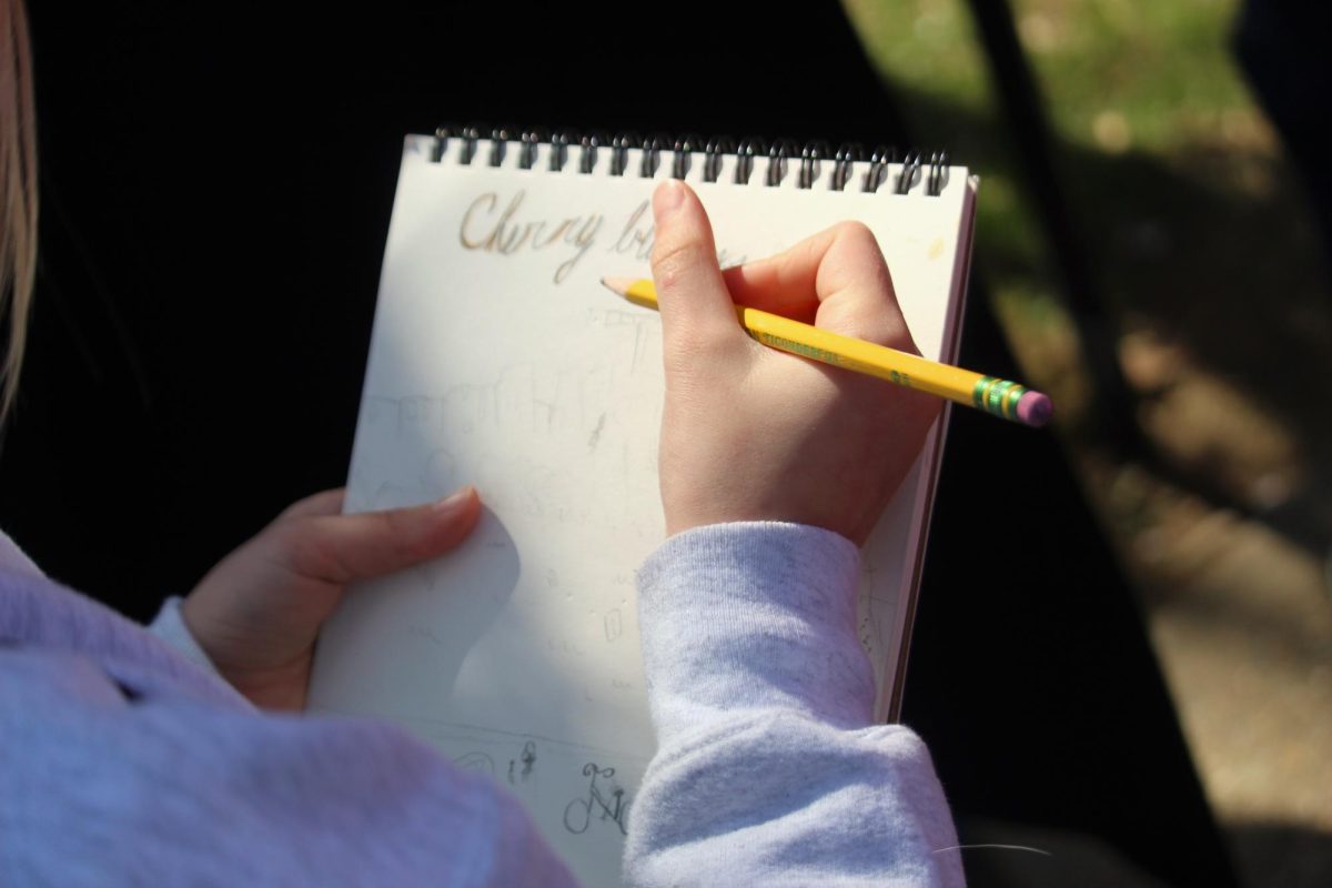 A little girl's notebook sketch of the scenary.