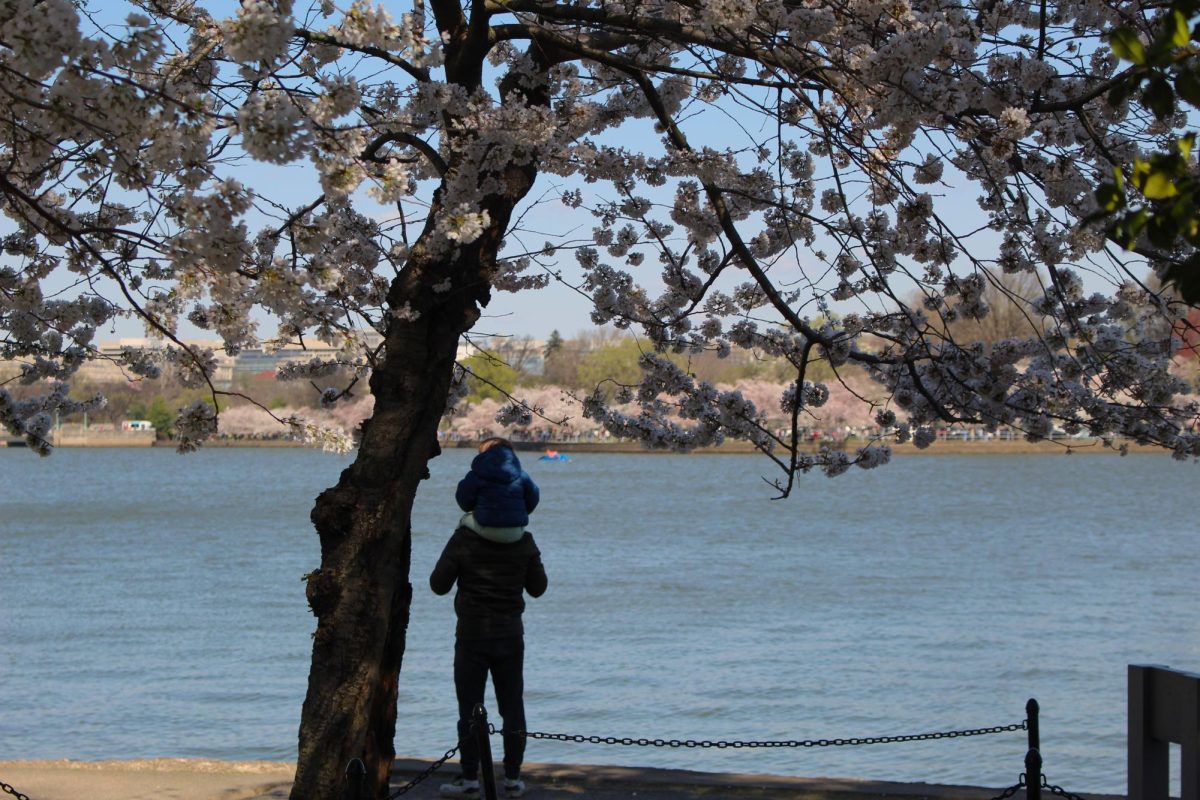 A father and daughter appreciating the scenery.