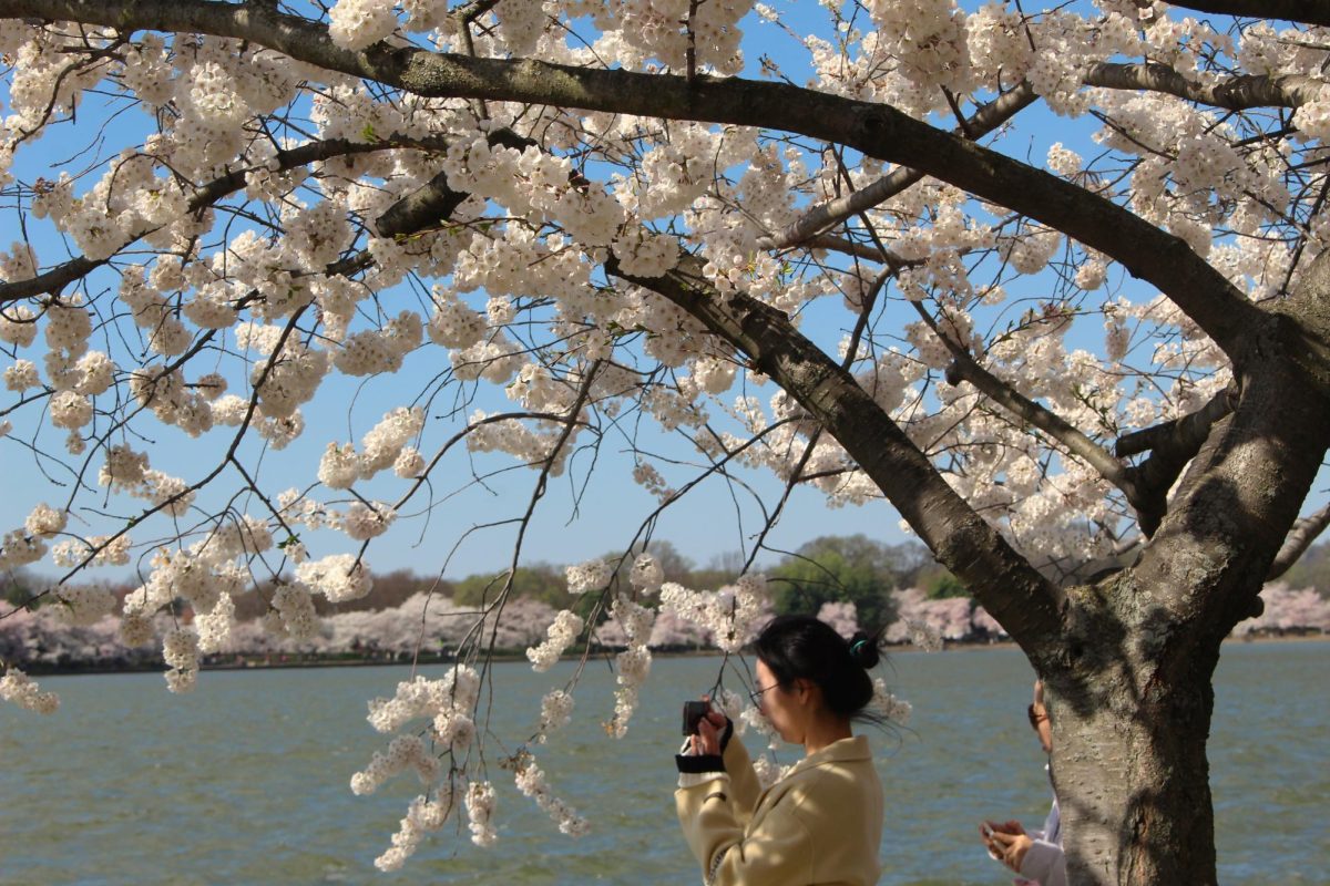 A woman capturing the view.