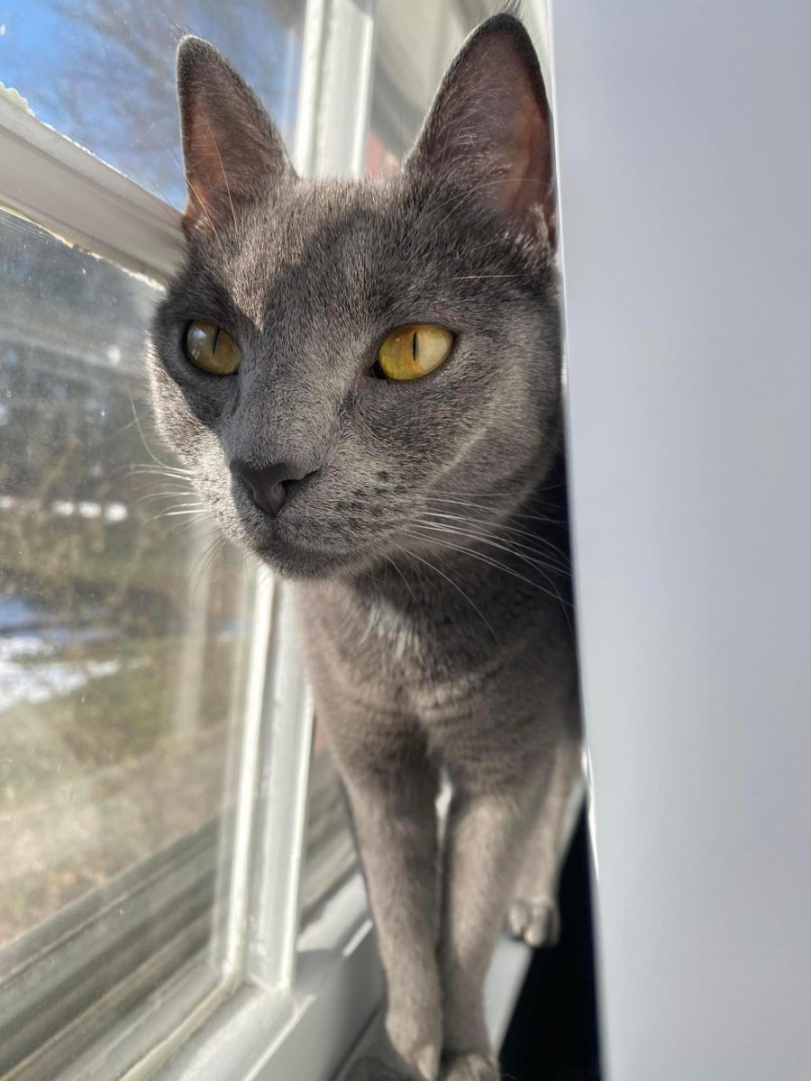 Luna Bella, Age 1 and a half: "Takes after her name and is magical and mysterious." - Ms. Clayville 