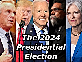 2024 Presidential Election Breakdown
