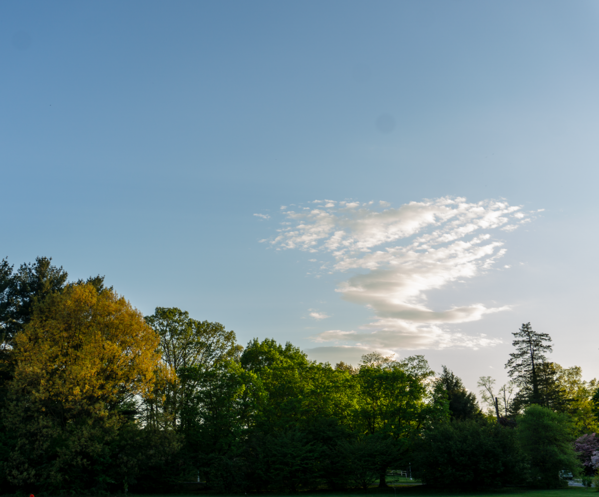 DSC00793