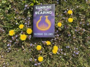 Painting your Poster: A Review of Sunrise on the Reaping